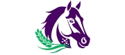Ferro Horse Bábolna