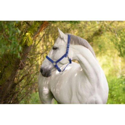 KERBL Mustang kötőfék, kék/fekete, full