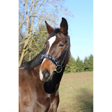 KERBL Exklusiv bőr kapicán, cob