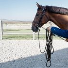 Lunge Rope