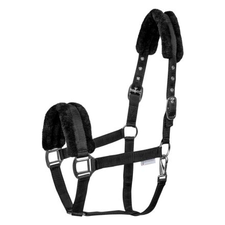 WH First kötőfék mini shetty