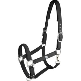 Waldhausen Trinidad kötőfék