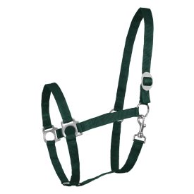 WH Perlon kötőfék zöld