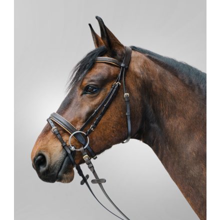 STAR Diamant kantár barna full