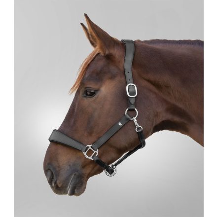 Waldhausen bőr kötőfék s line anatomic fekete cob