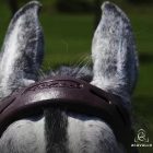 Acavallo  orr-tarkó gélpárna