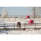 Müanyag körbála etető