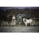 Müanyag körbála etető