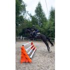 2db kitörő több színben