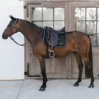 Diamond Saddle Pad Dressage