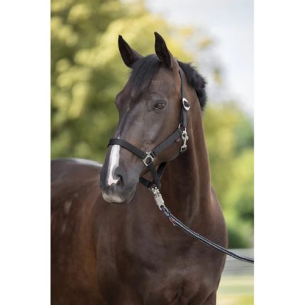 Kerbl Hippo csikó kötőfék fekete